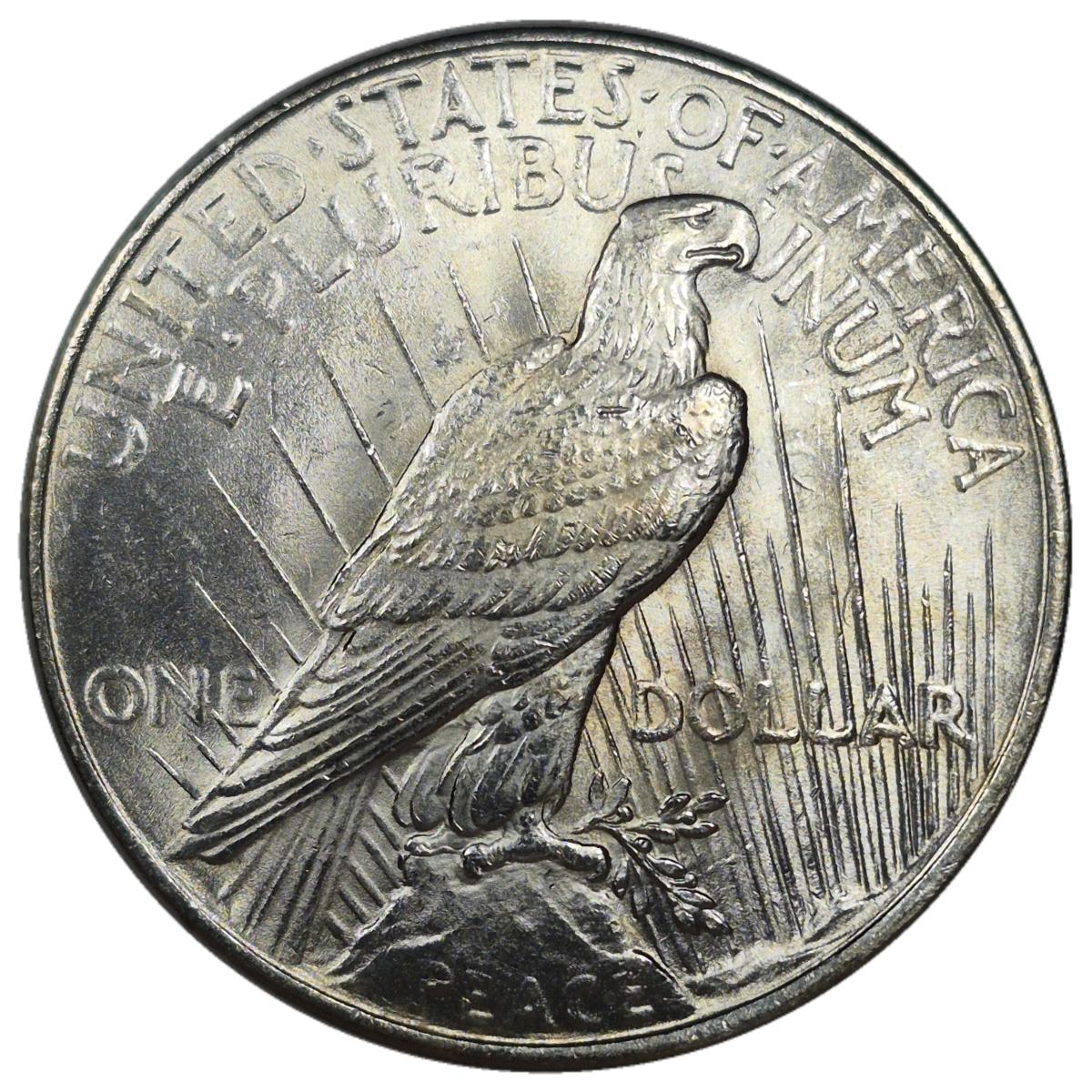 1922 1 Peace Dollar 6 7 Of 142 Coin Community